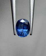 Blue Sapphire - 1.80ct
