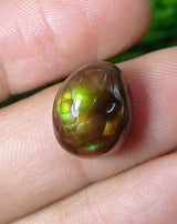 Mexican Fire Agate - 11ct