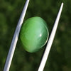 Nephrite Jade Cat’s Eye - 13.8ct