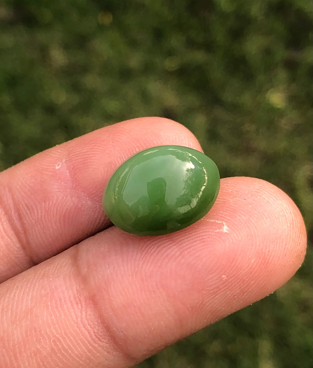 Nephrite Jade Cat’s Eye - 13.8ct