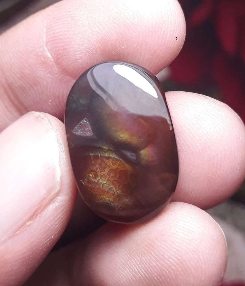 Mexican Fire Agate Alligator skin Pattern -17.8ct