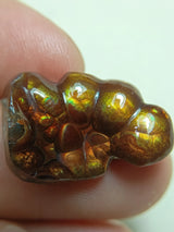 Mexican Fire Agate -19.4ct