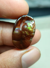 Mexican Fire Agate -22ct