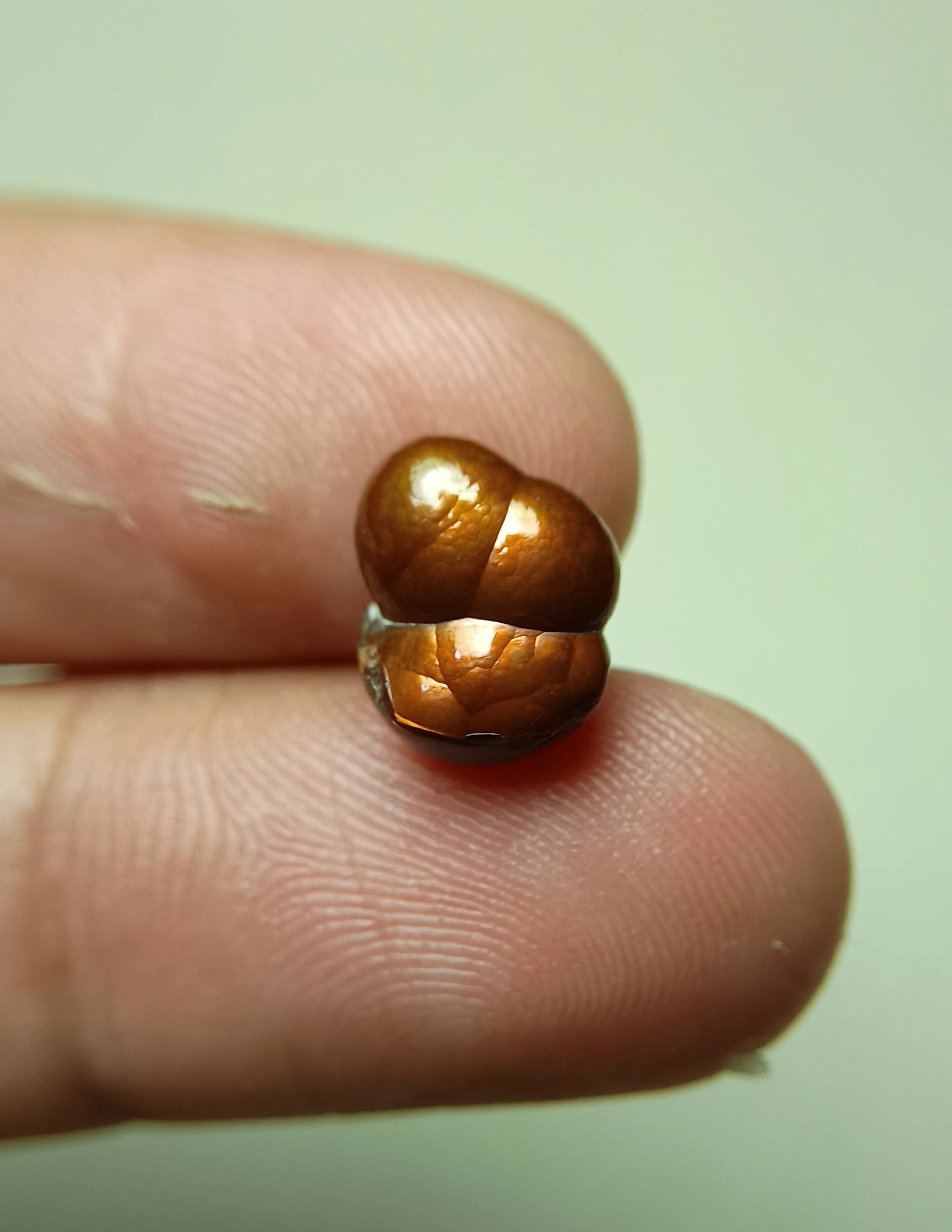 Mexican Fire Agate -4.3 ct