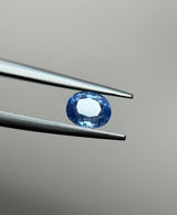 Blue Sapphire - 1.39ct