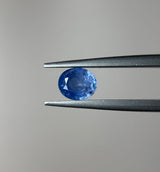 Blue Sapphire - 1.60ct