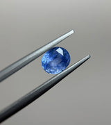 Blue Sapphire - 1.45ct