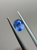 Blue Sapphire - 1.45ct