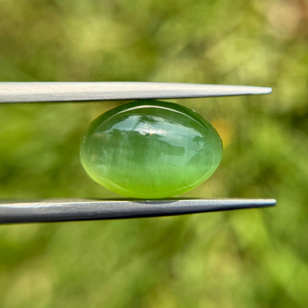 Nephrite Jade Cat’s Eye - 9.1ct