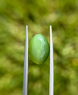 Nephrite Jade Cat’s Eye - 9.1ct