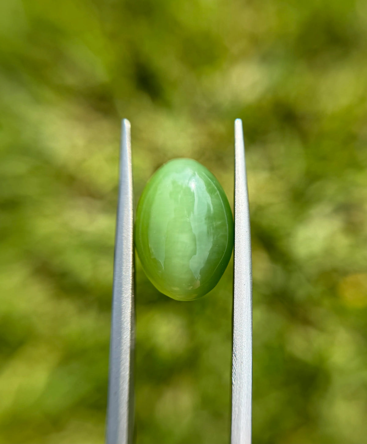 Nephrite Jade Cat’s Eye - 9.1ct