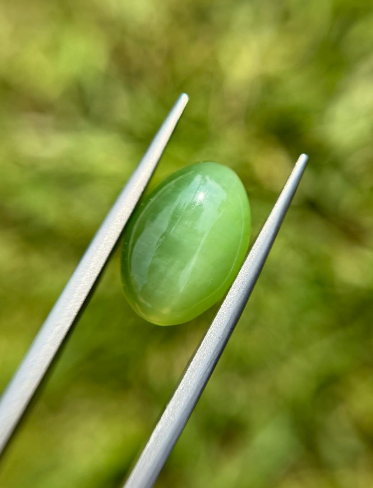Nephrite Jade Cat’s Eye - 9.1ct