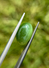 Nephrite Jade Cat’s Eye - 9.1ct