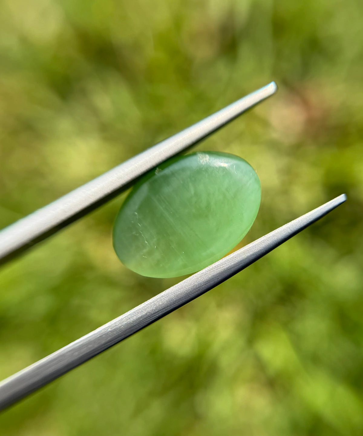 Nephrite Jade Cat’s Eye - 9.1ct