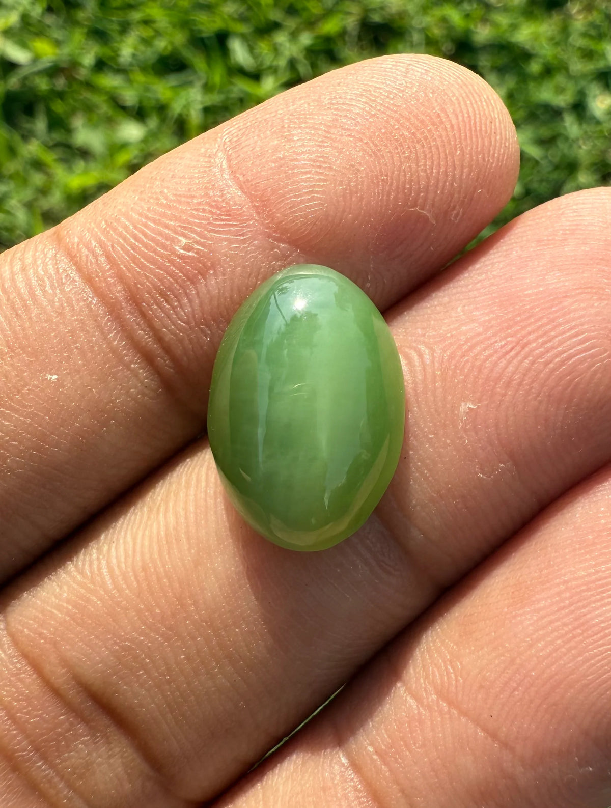 Nephrite Jade Cat’s Eye - 9.1ct