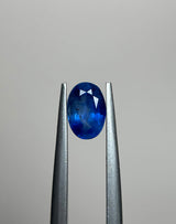 Blue Sapphire - 1.60ct