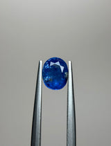 Blue Sapphire - 1.95ct