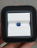 Blue Sapphire - 1.65ct