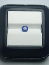 Blue Sapphire - 1.65ct