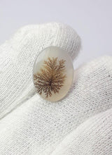Dendritic Agate - 5.8ct