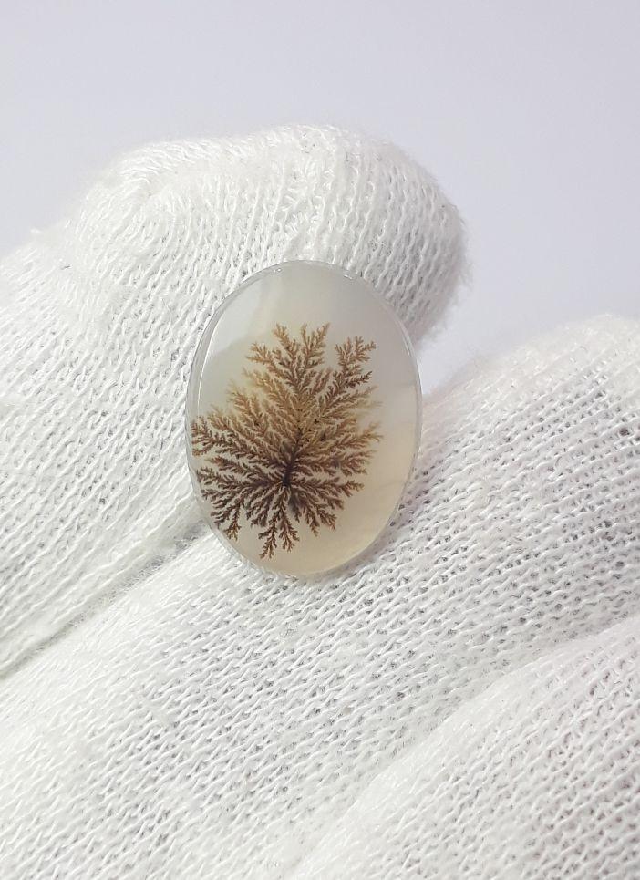 Dendritic Agate - 5.8ct