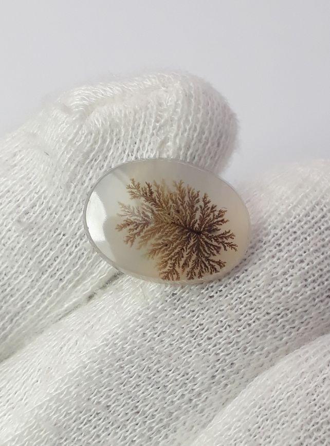 Dendritic Agate - 5.8ct