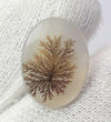 Dendritic Agate - 5.8ct
