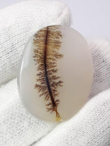 Dendritic Agate - 27.6ct
