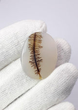 Dendritic Agate - 27.6ct
