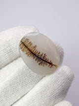 Dendritic Agate - 27.6ct