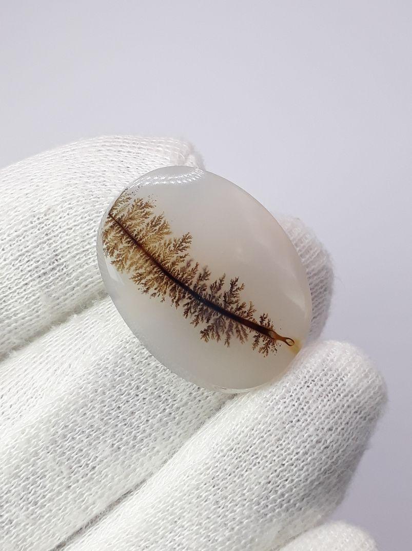 Dendritic Agate - 27.6ct