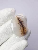 Dendritic Agate - 27.6ct