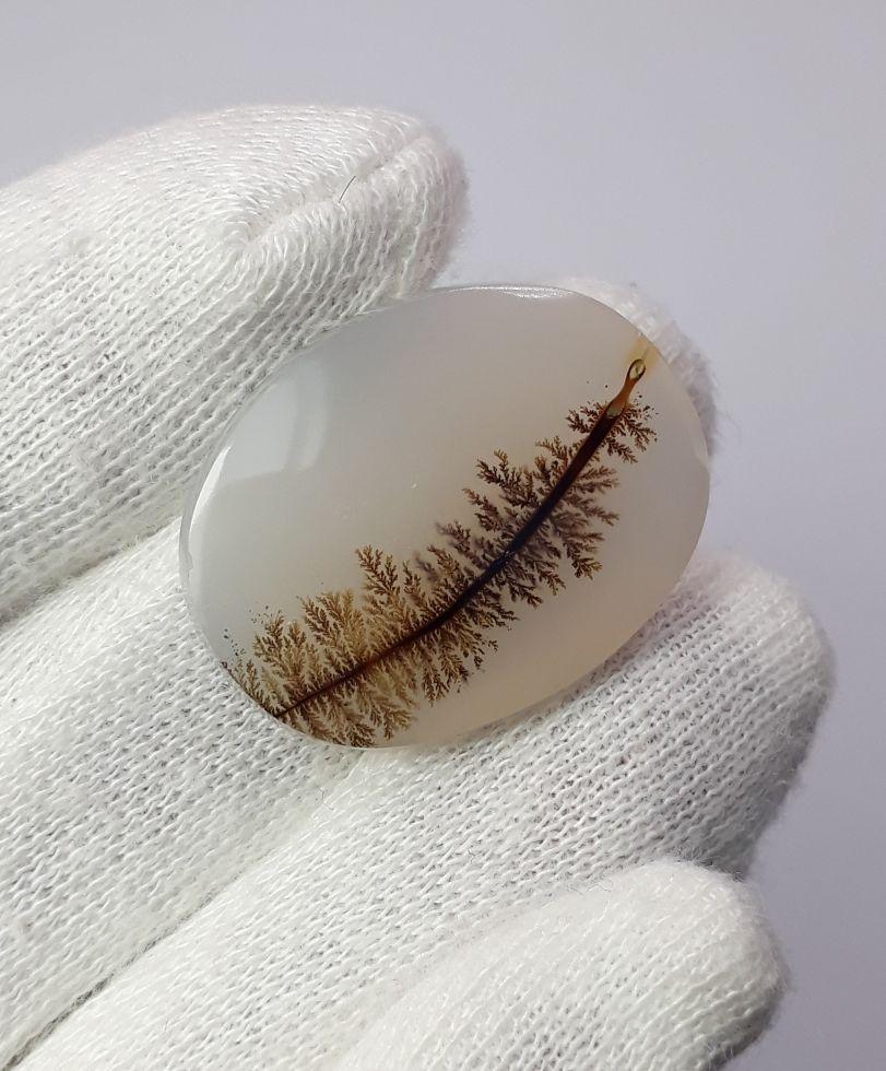 Dendritic Agate - 27.6ct