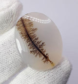 Dendritic Agate - 27.6ct