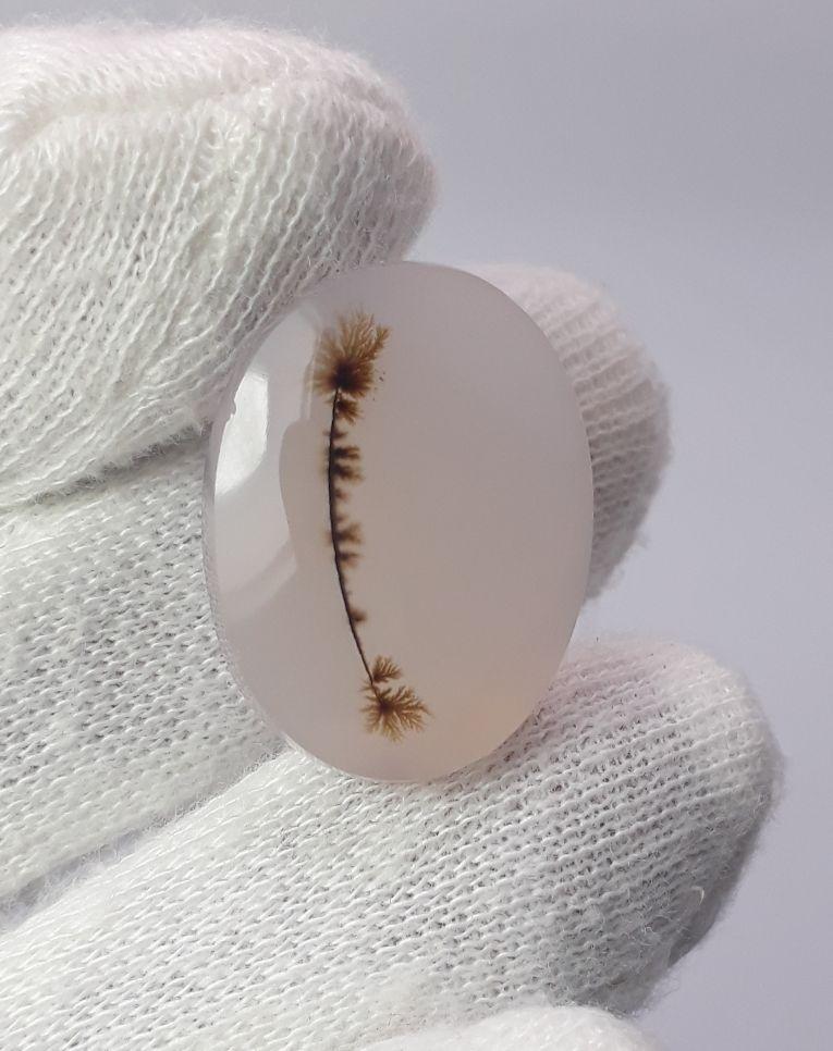 Dendritic Agate - 19.1ct