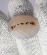 Dendritic Agate - 19.1ct