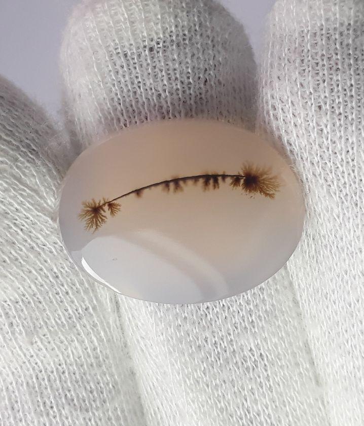 Dendritic Agate - 19.1ct