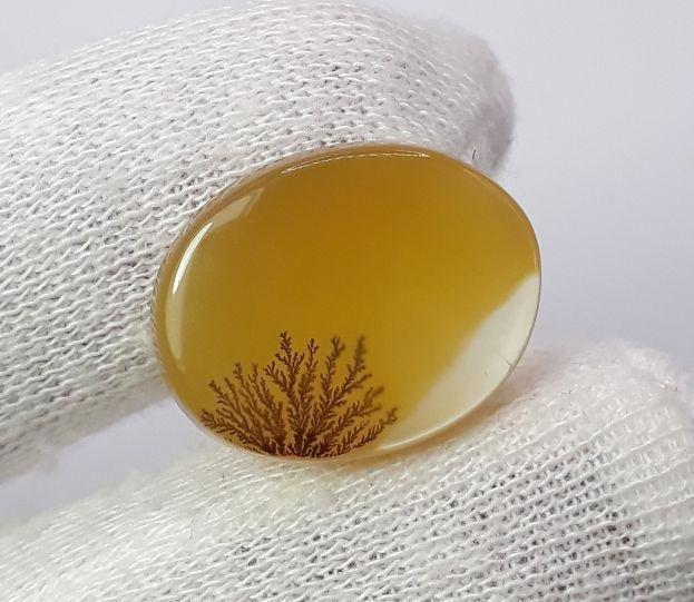 Dendritic Agate - 14.8ct