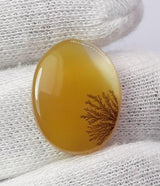 Dendritic Agate - 14.8ct