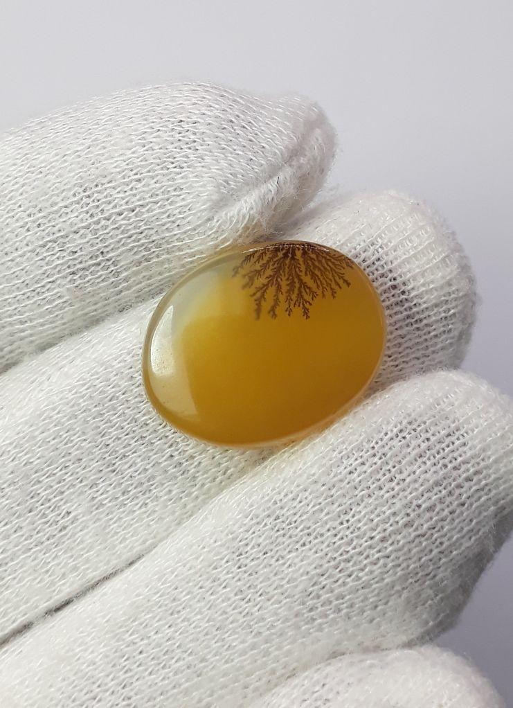 Dendritic Agate - 14.8ct