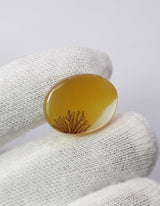 Dendritic Agate - 14.8ct