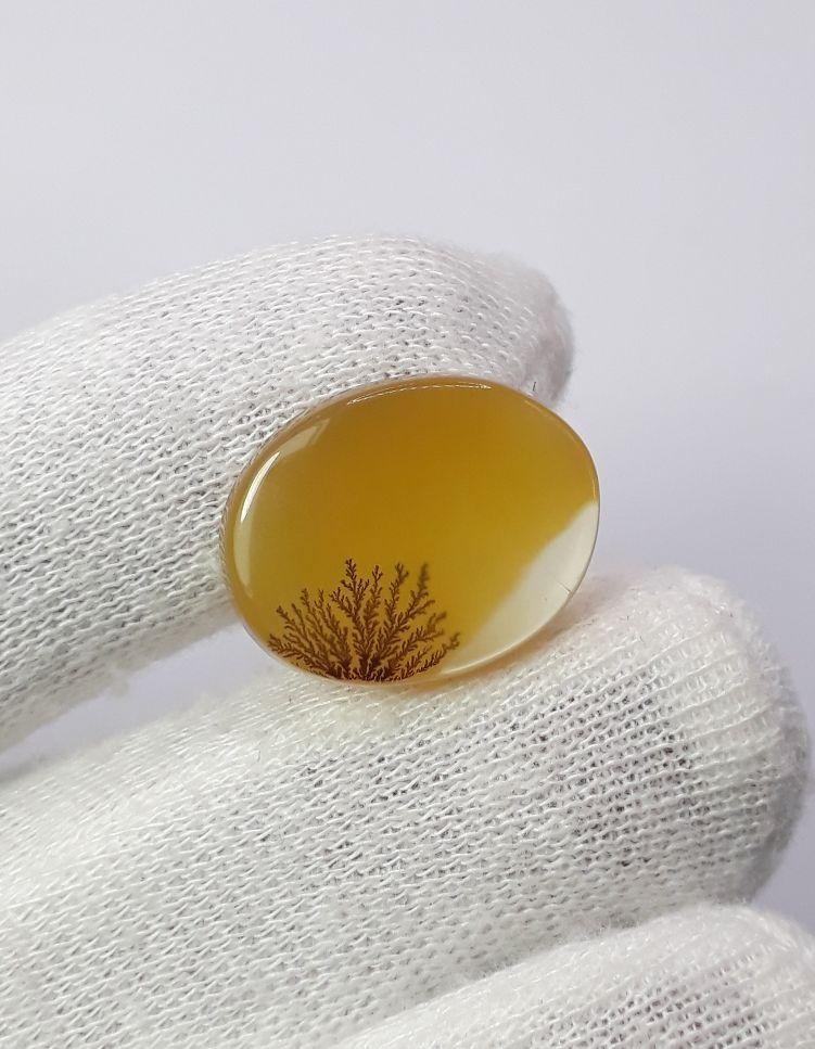 Dendritic Agate - 14.8ct