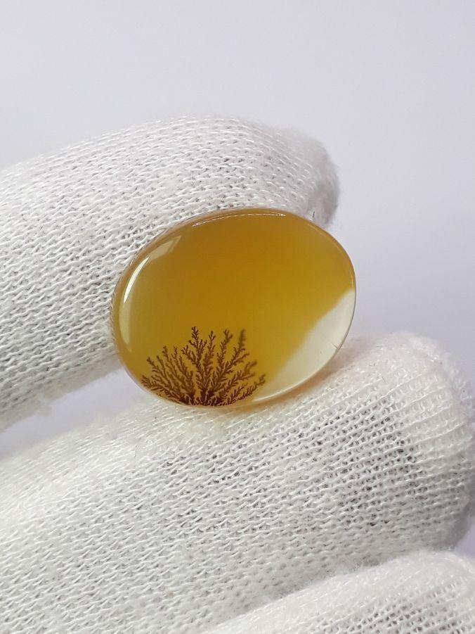 Dendritic Agate - 14.8ct