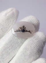 Dendritic Agate - 13.4ct