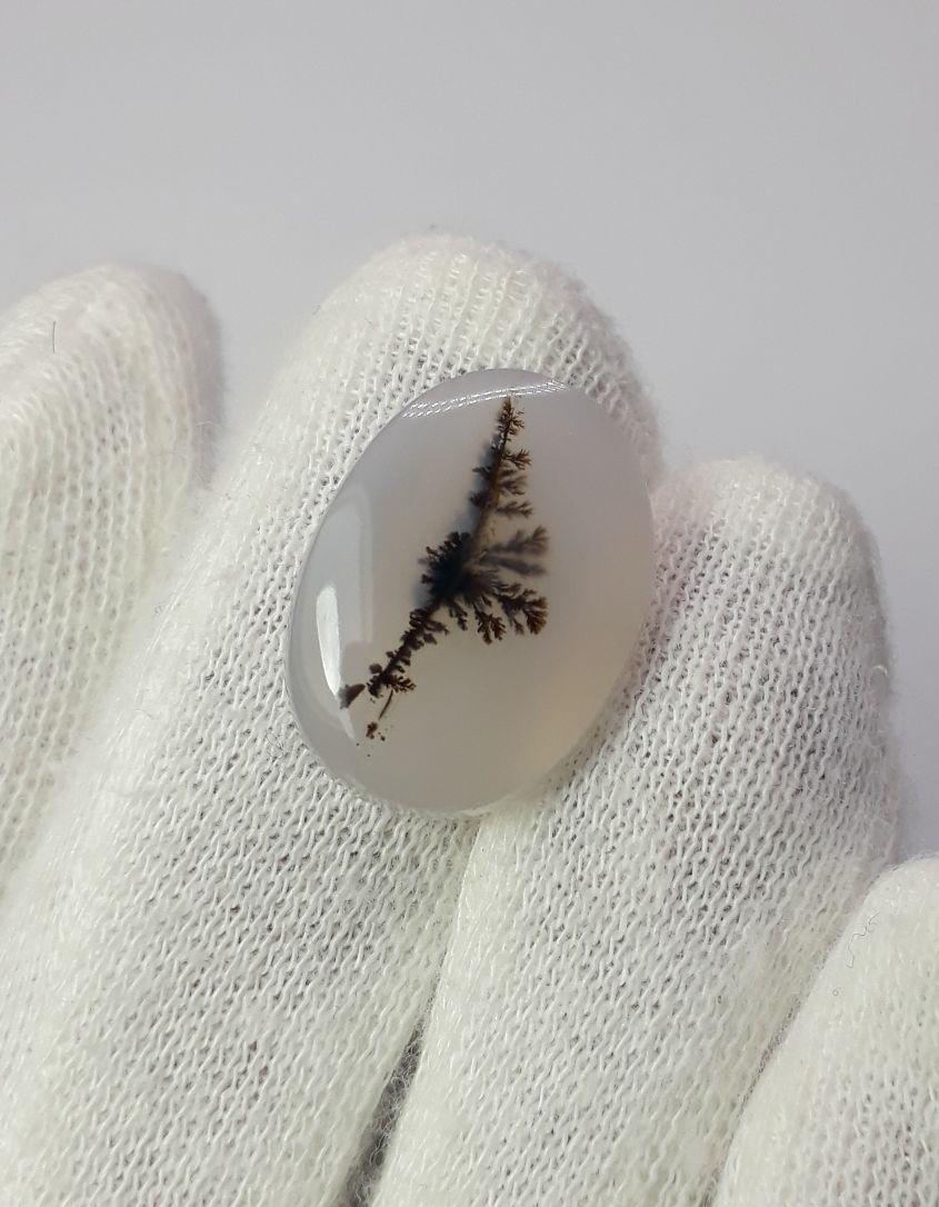 Dendritic Agate - 13.4ct