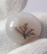 Dendritic Agate - 16.8ct