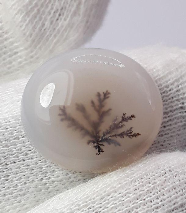 Dendritic Agate - 16.8ct