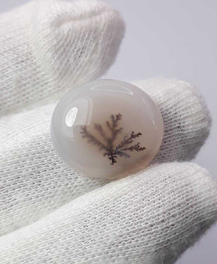 Dendritic Agate - 16.8ct