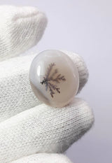 Dendritic Agate - 16.8ct