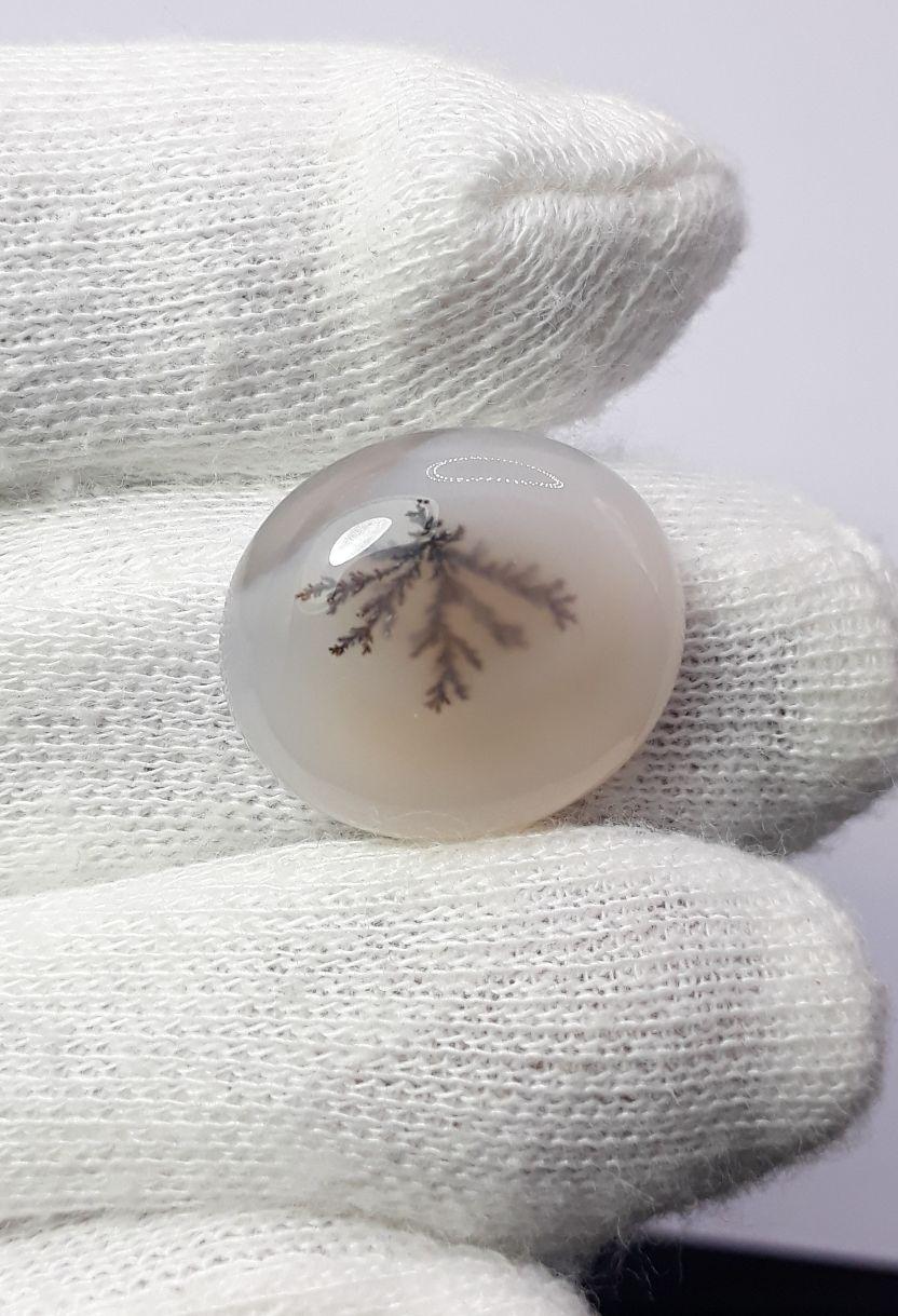 Dendritic Agate - 16.8ct
